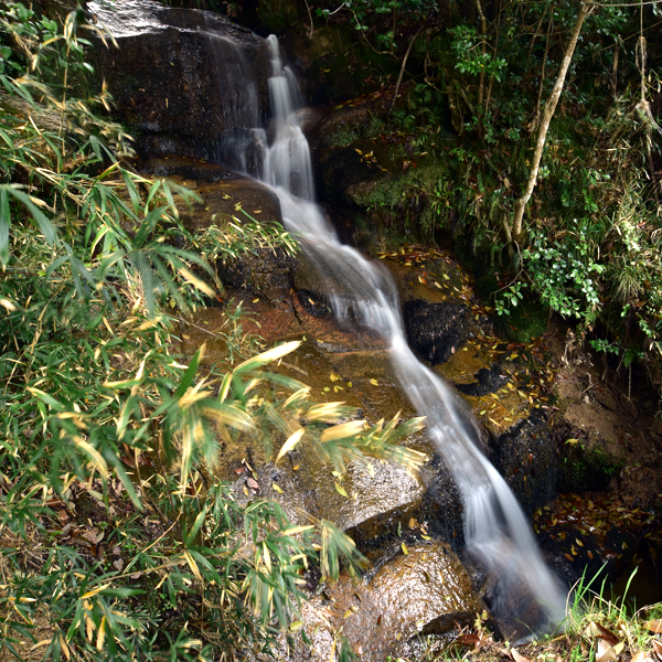石菖の滝