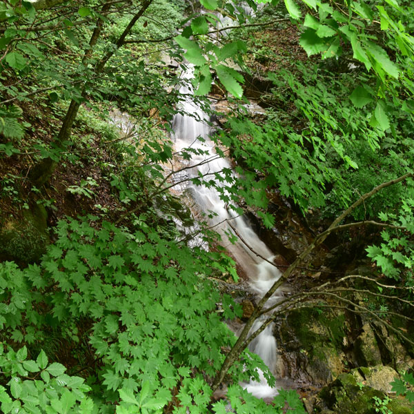 ナメラ沢の滝