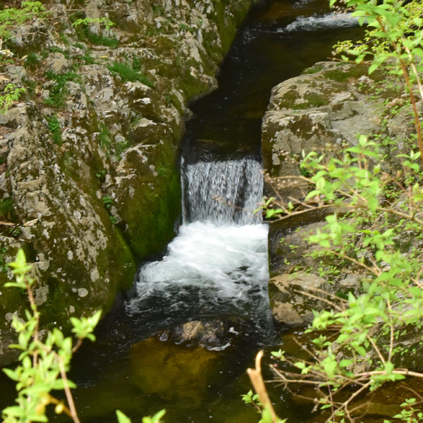 樋の口の滝