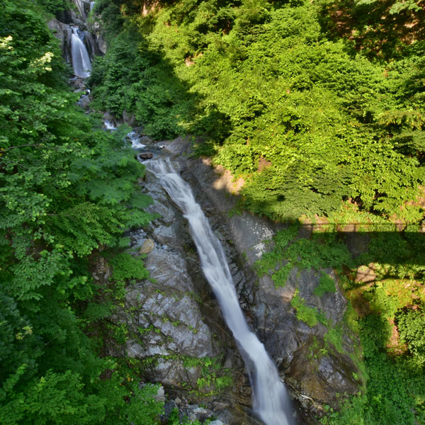蒲原沢の滝