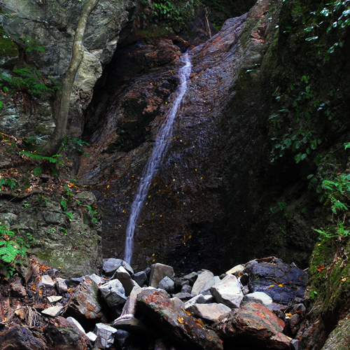 桂の滝