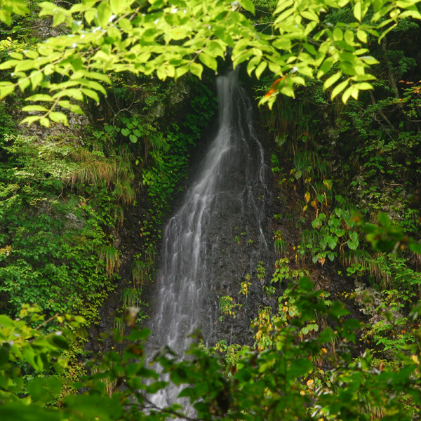 桂の滝（左滝）