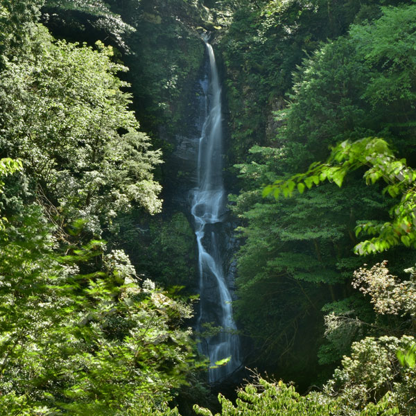 聖ヶ谷の滝
