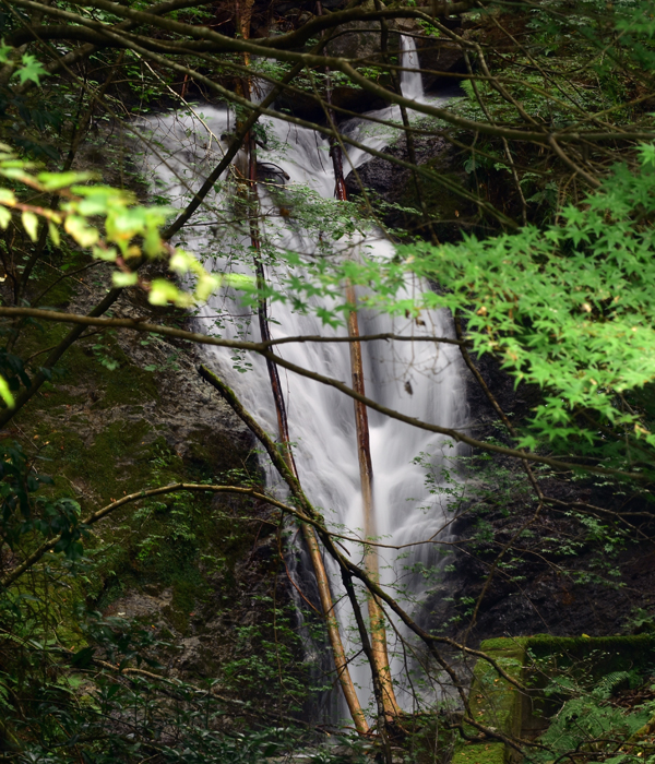 弓木の滝