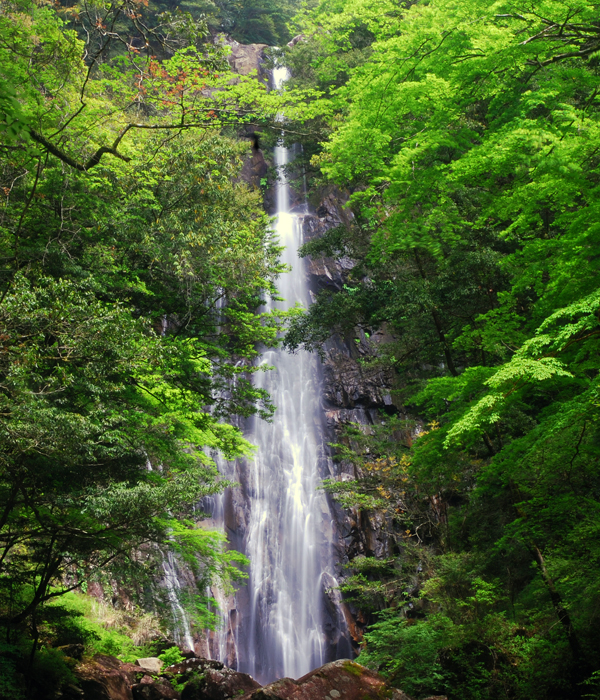 矢研の滝